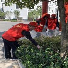 爱国卫生重参与 志愿服务齐行动——麒麟区太和街道开展建筑物清洁服务