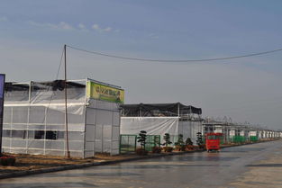 农村这四类建筑会被清理，涉及范围广，快看是否影响你家
